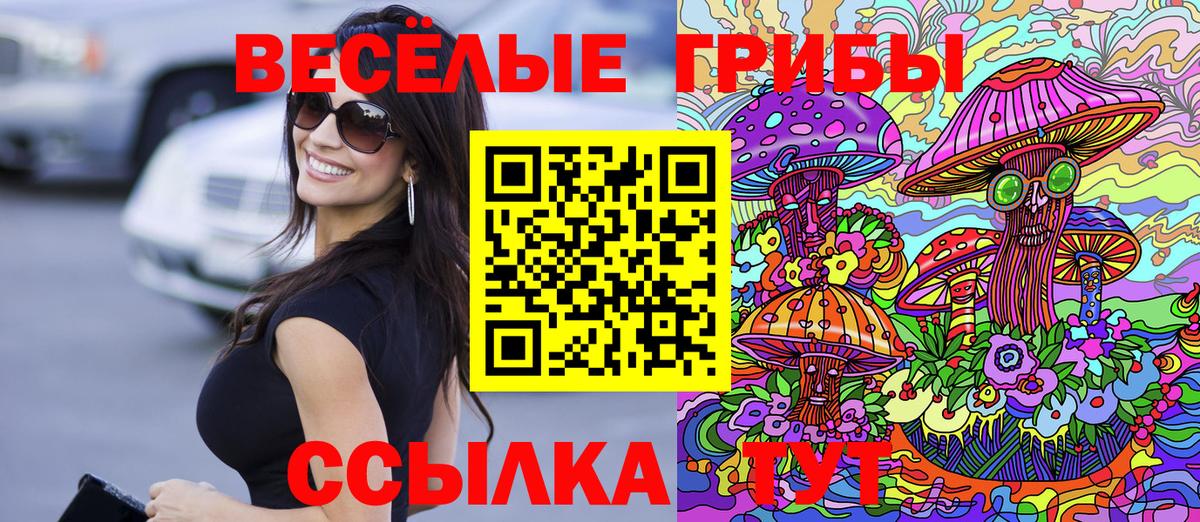 Галлюциногенные грибы прущие грибы Печора
