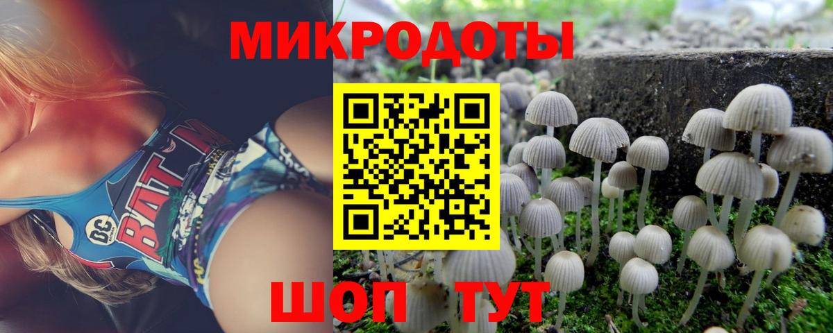 Галлюциногенные грибы Magic Shrooms  Вход с VPN  Печора  купить наркоту  Псилоцибиновые грибы ЛСД 