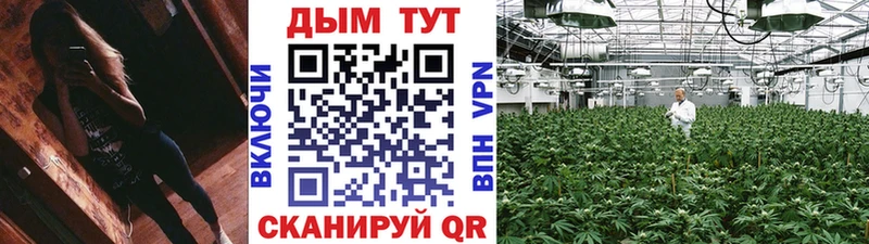 Шишки марихуана SATIVA & INDICA  Печора 